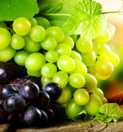 exports-grapes