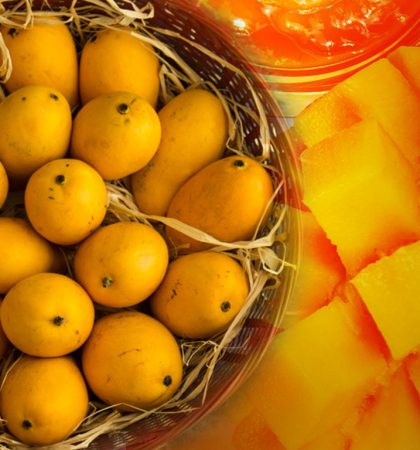 exports-mangoes